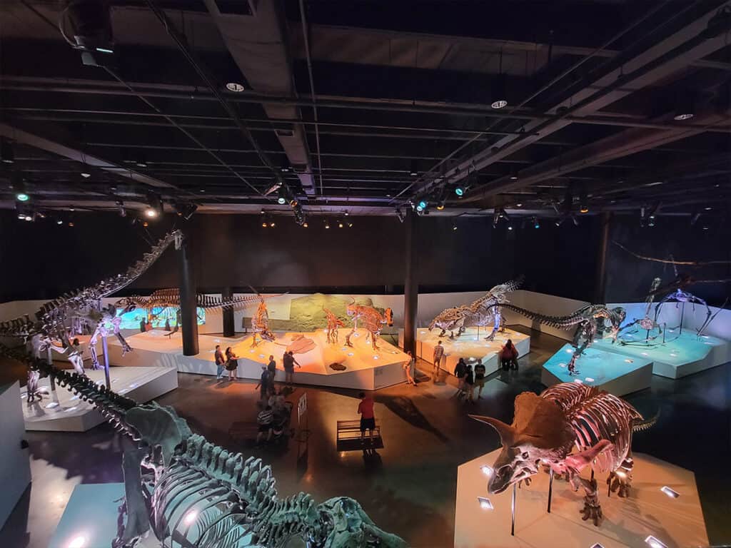 Home 19 Houston Museum of Natural Science